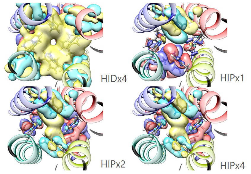 M2タンパク質のHis37-Trp41まわりの電子状態。Hisの4種類のプロトン付加状態における差異を示す。